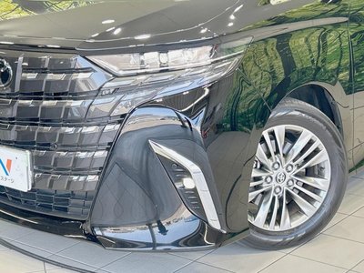 2024 Toyota ALPHARD 缩略图 13