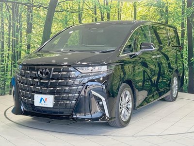 2024 Toyota ALPHARD 缩略图 69