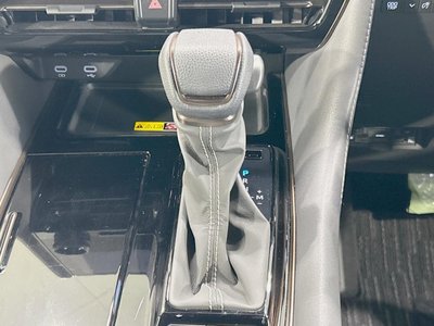 2024 Toyota ALPHARD 缩略图 24
