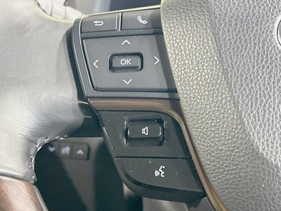 2024 Toyota ALPHARD 缩略图 51