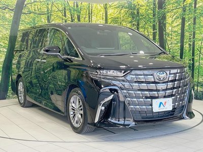 2024 Toyota ALPHARD 缩略图 17