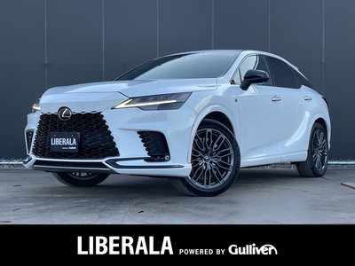 LEXUS RX - 2