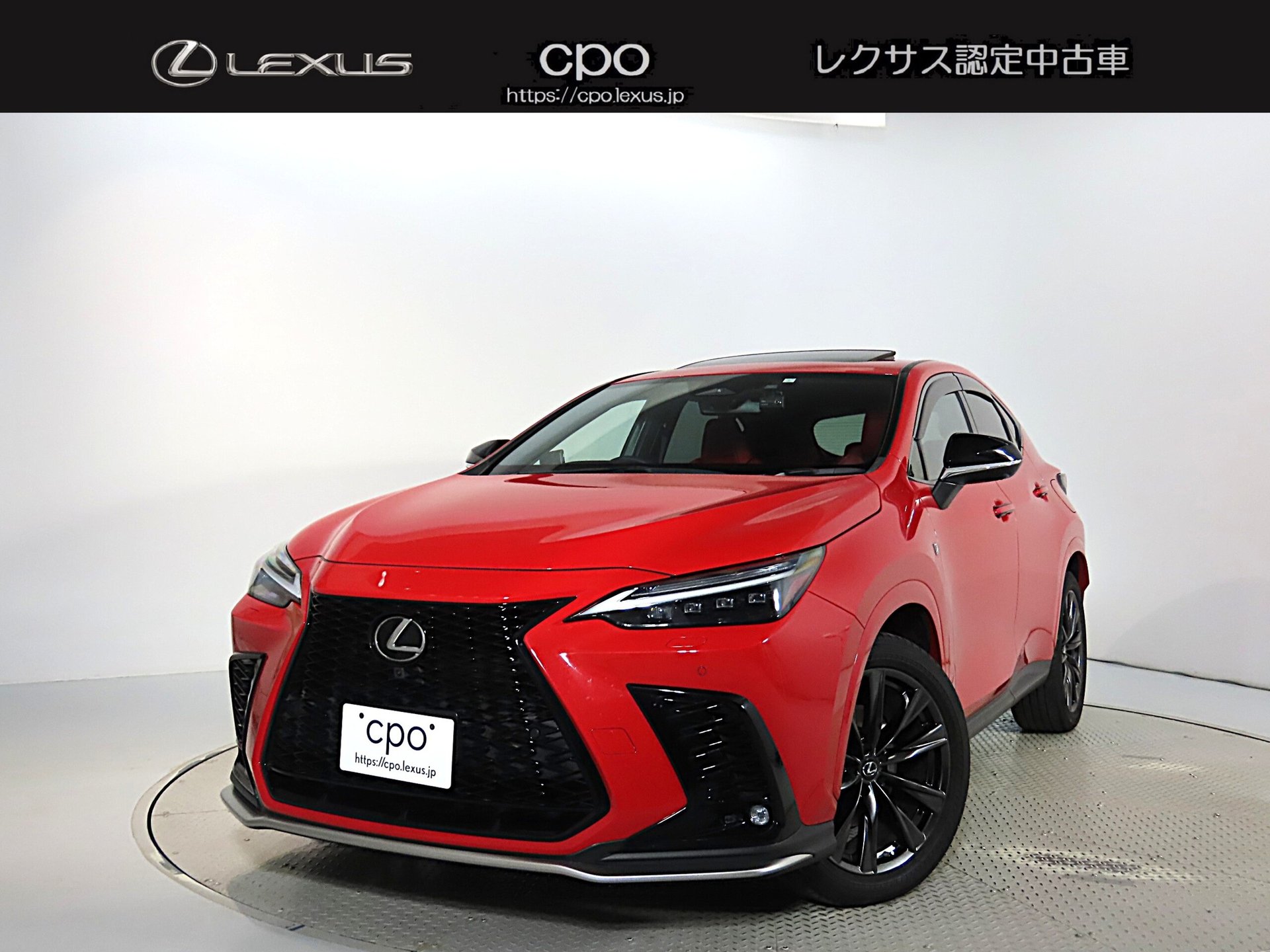 LEXUS NX - View 1