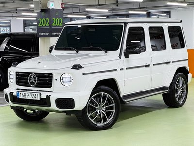 MERCEDES-BENZ G-CLASS - 1