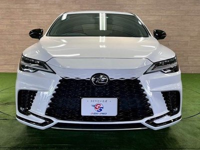 2023 Lexus RX 缩略图 13