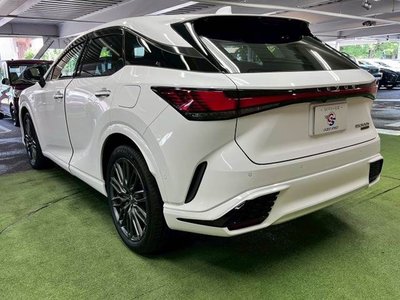 2023 Lexus RX 缩略图 17