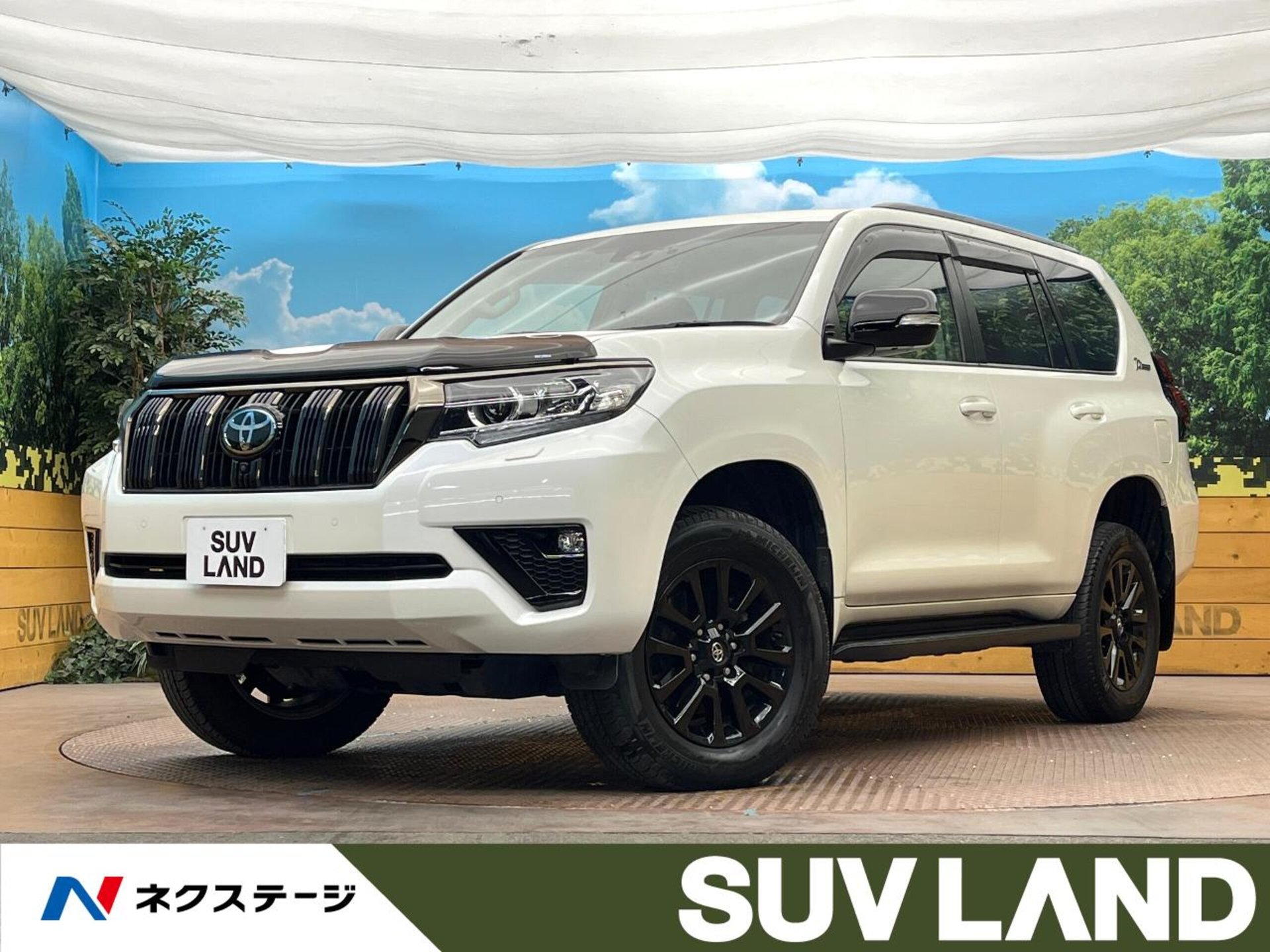 TOYOTA LAND CRUISER PRADO - View 1