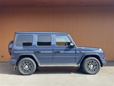2025 Mercedes-BENZ G-CLASS 缩略图 38