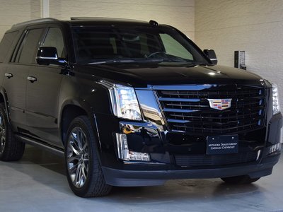 2019 Cadillac ESCALADE — миниатюра 20