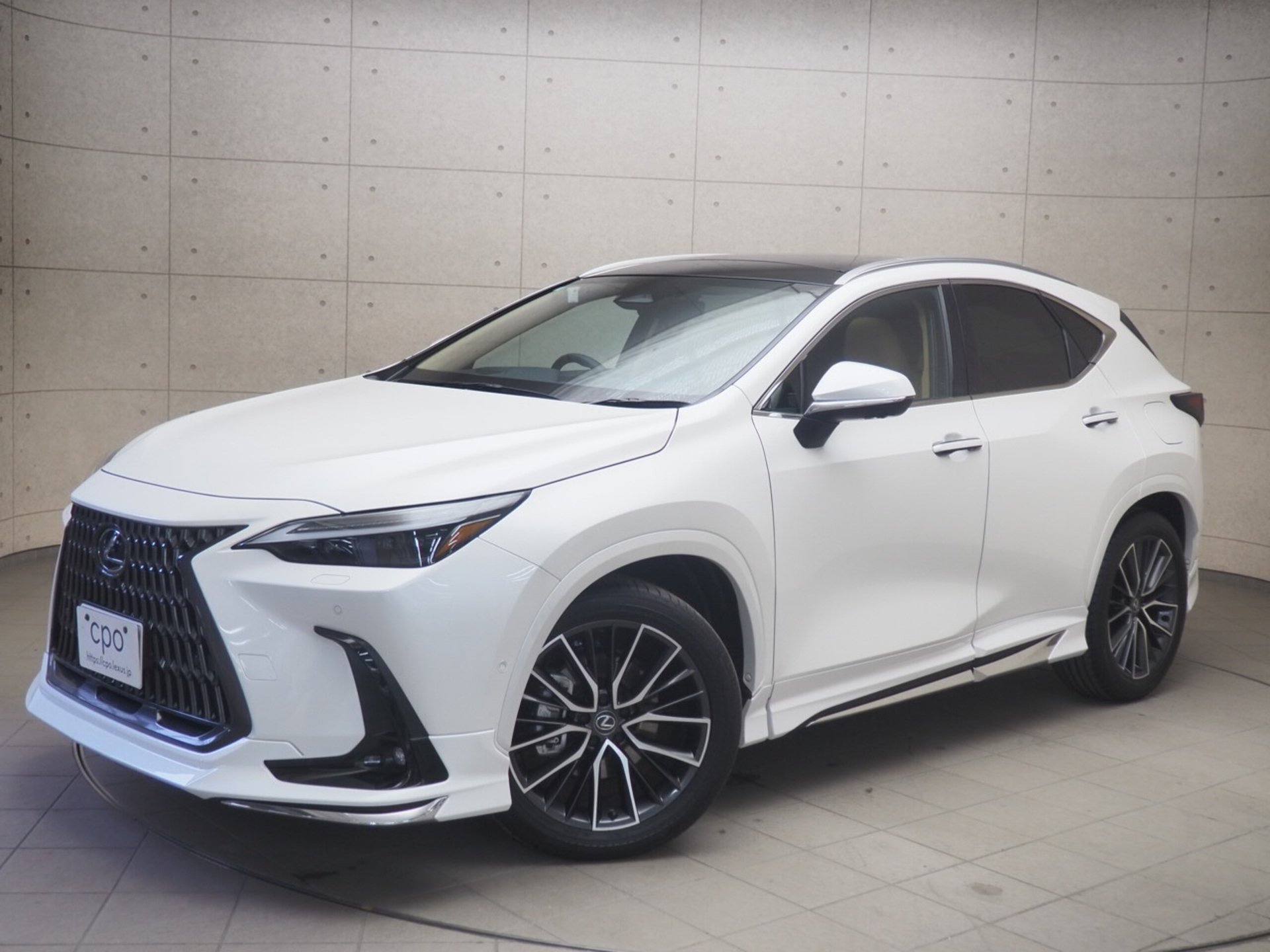 LEXUS NX - View 1
