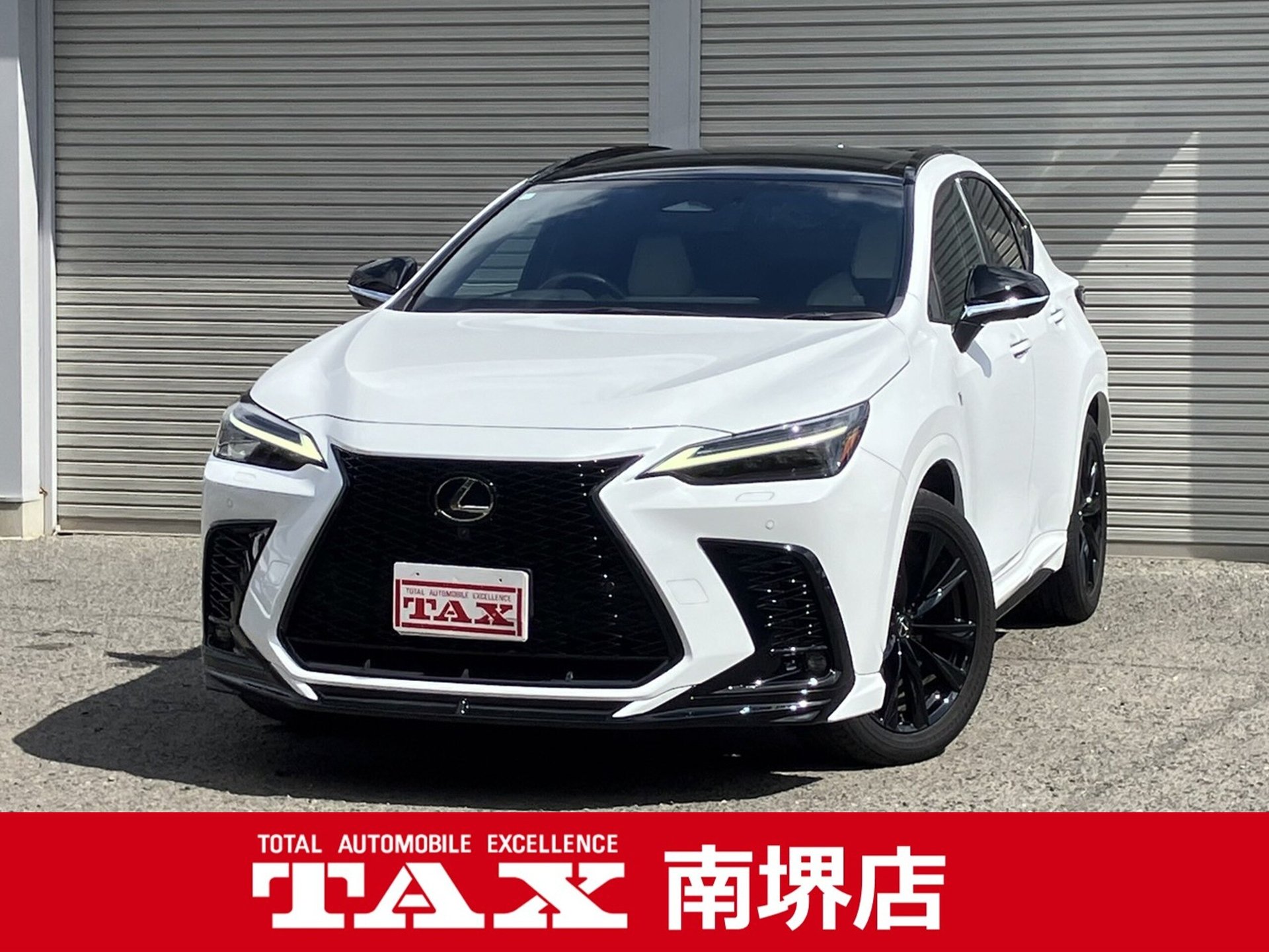 LEXUS NX - View 1