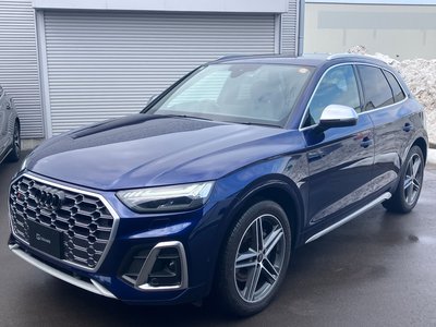 AUDI SQ5 - 1