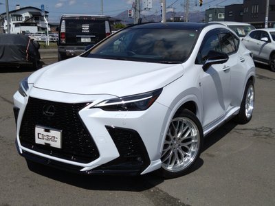 LEXUS NX - 1