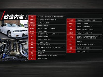 1996 NISSAN SKYLINE GT-R photo 2