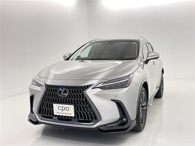 LEXUS NX - 1