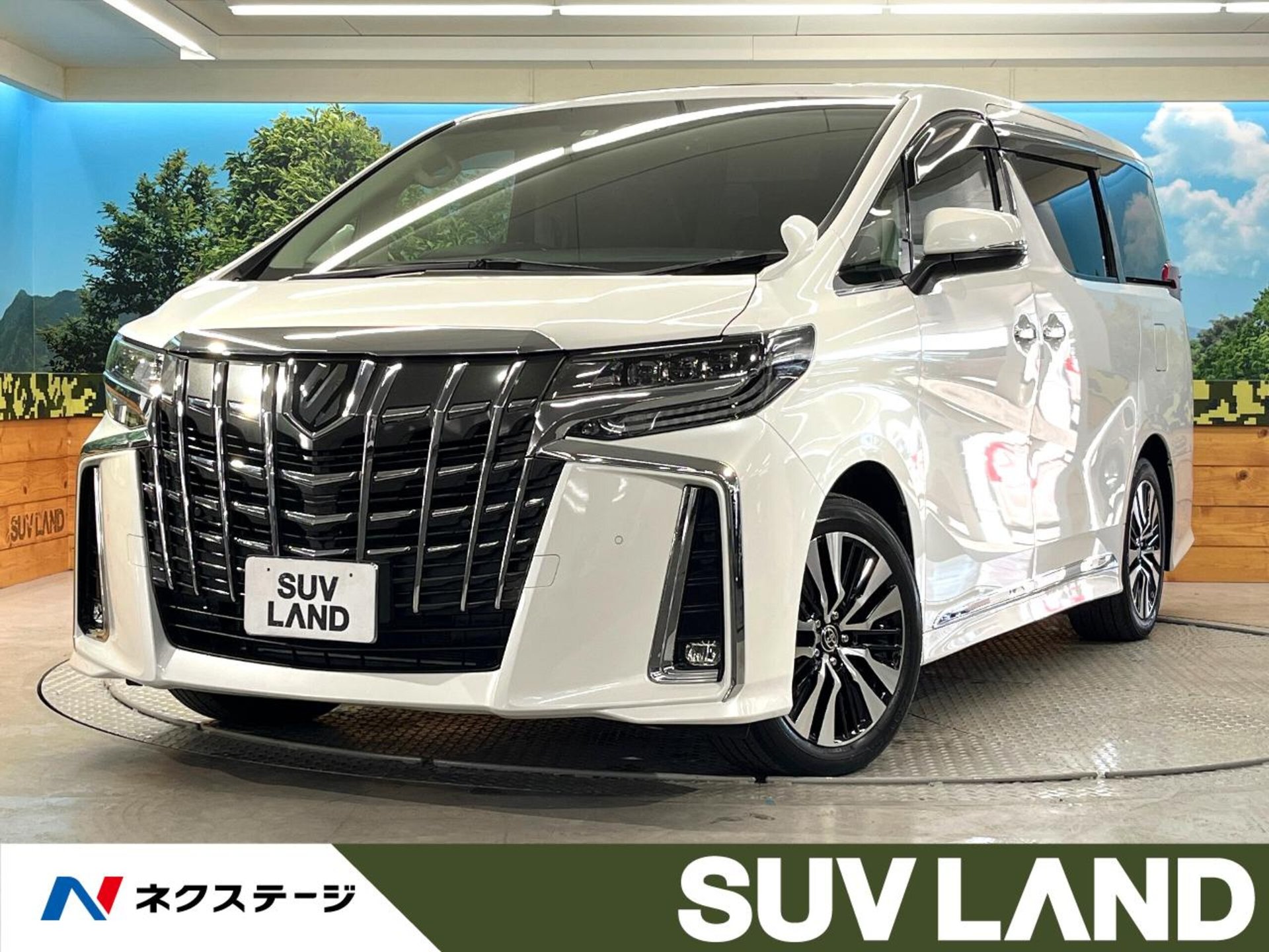 TOYOTA ALPHARD - View 1