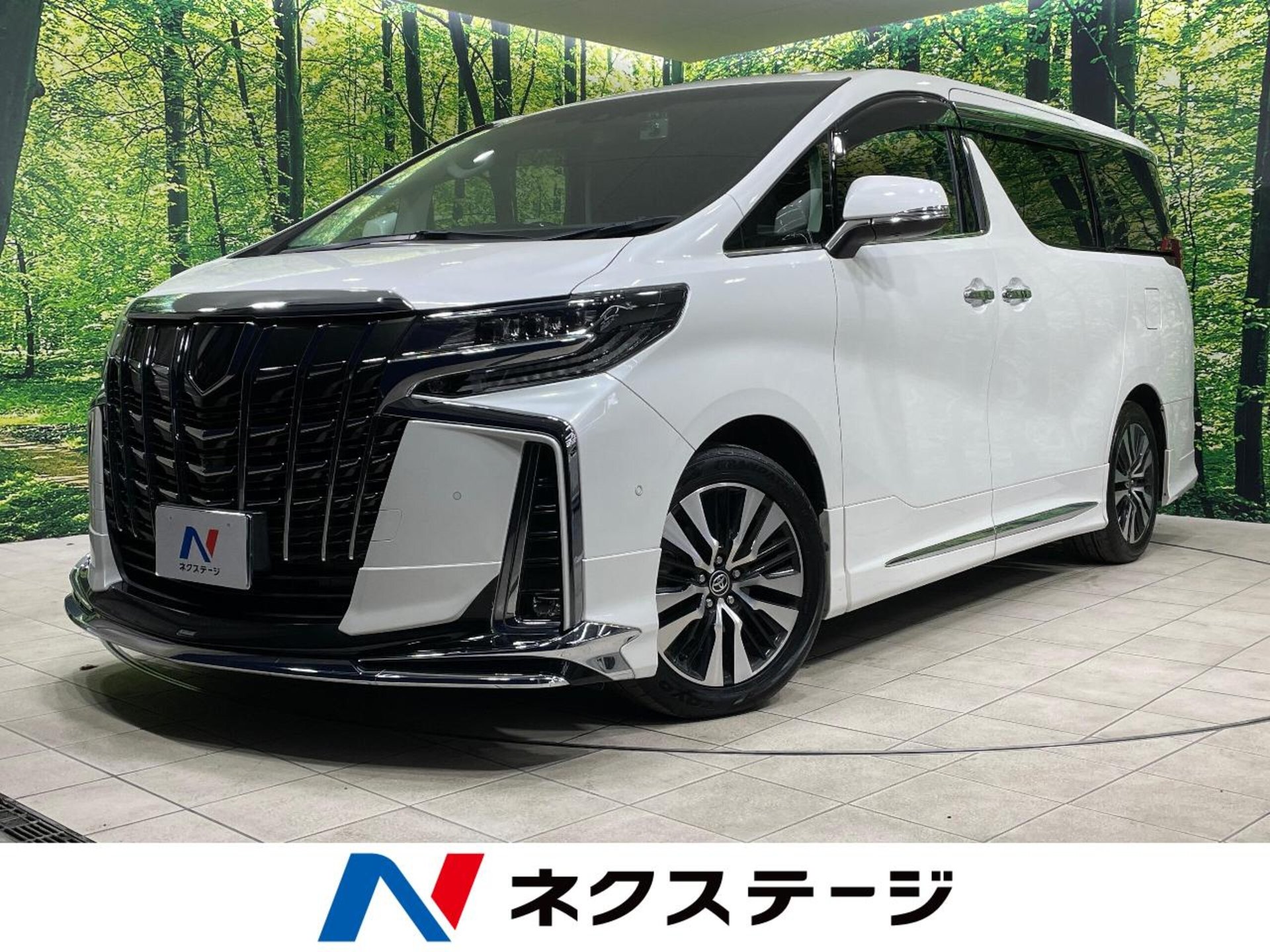 TOYOTA ALPHARD - View 1