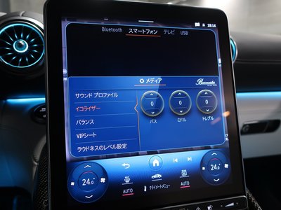 صورة مصغرة 41 لـ 2024 Mercedes-BENZ SL AMG