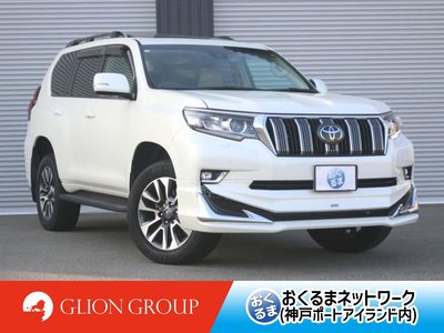 TOYOTA LAND CRUISER - 1