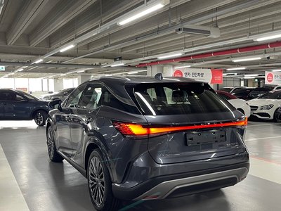 2026 Lexus RX 照片 6