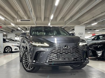 2026 Lexus RX 照片 1