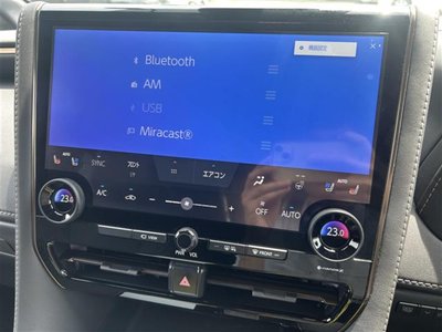 TOYOTA ALPHARD - 10
