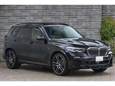 2021 BMW BMW X5 缩略图 13