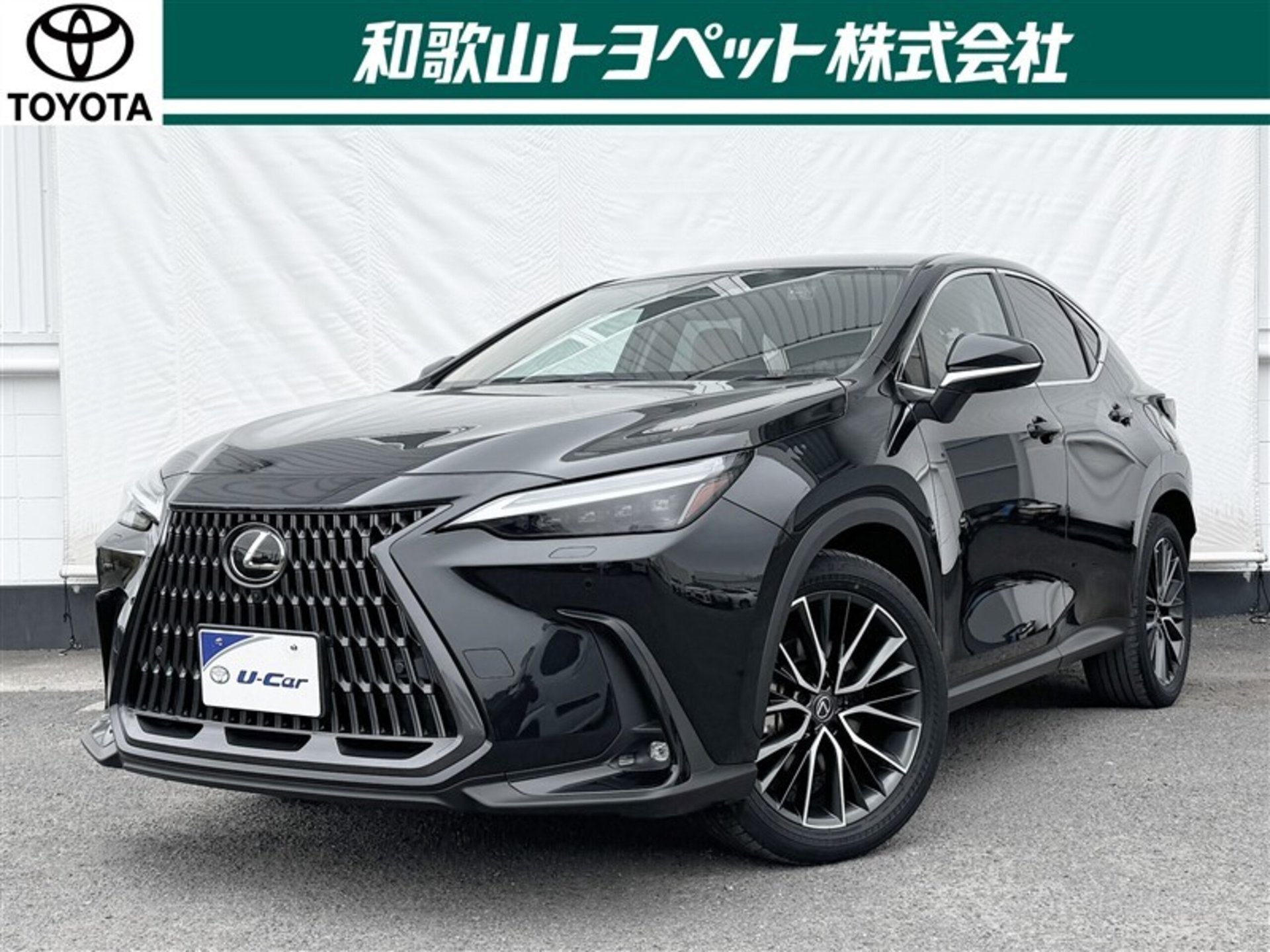 LEXUS NX - View 1