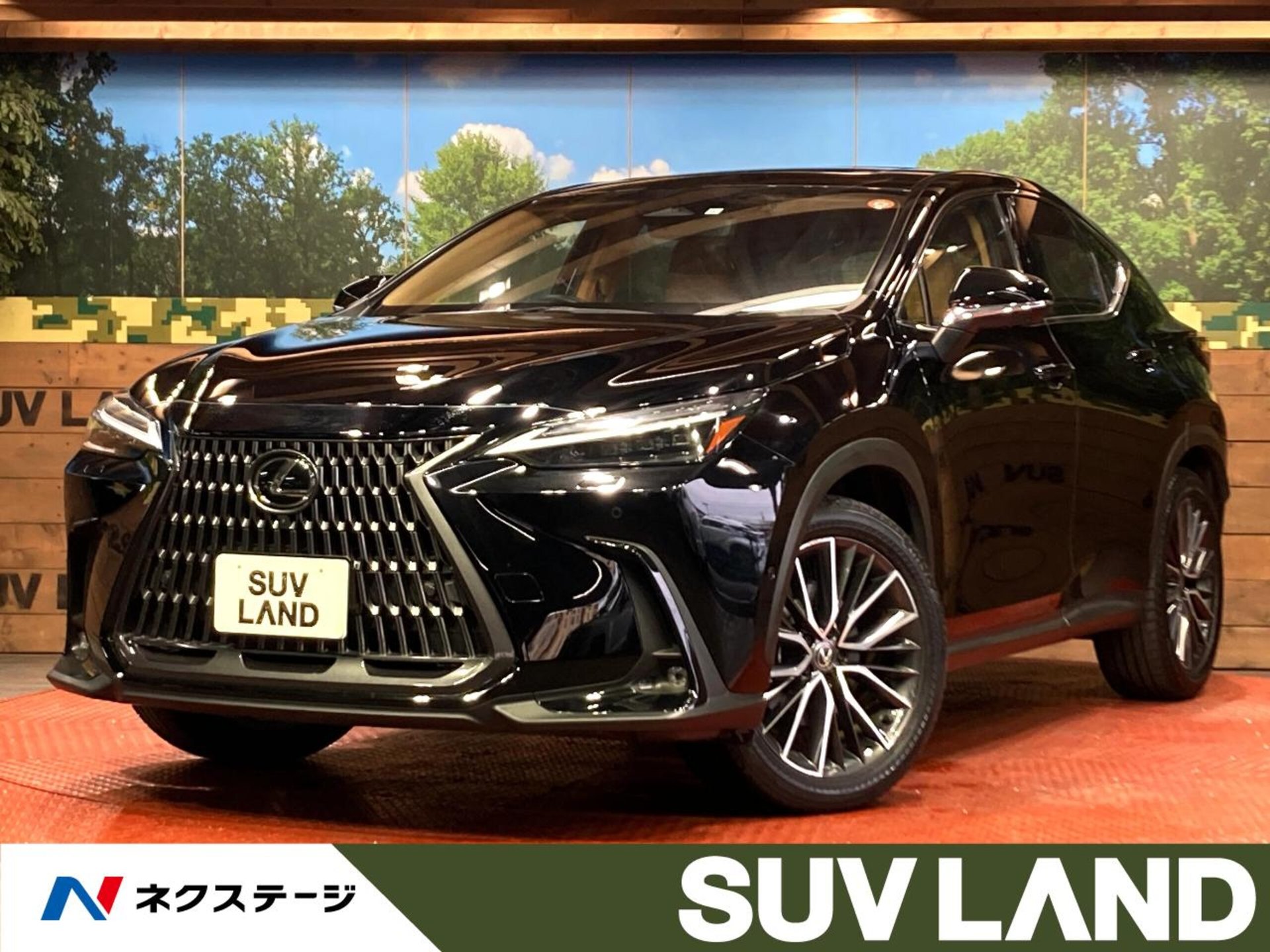 LEXUS NX - View 1