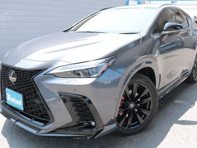 صورة مصغرة 25 لـ 2024 Lexus NX