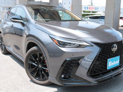 صورة مصغرة 24 لـ 2024 Lexus NX