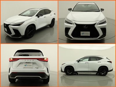2022 Lexus NX 缩略图 17