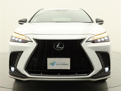 2022 Lexus NX 缩略图 16