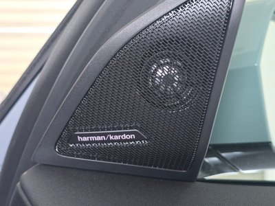 2025 BMW X3 thumbnail 31