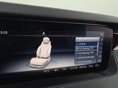 2019 Mercedes-BENZ S-CLASS — миниатюра 16