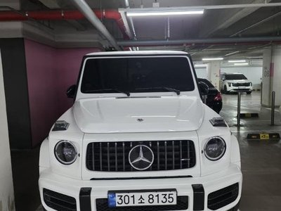 MERCEDES-BENZ G-CLASS - 1