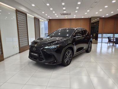 LEXUS NX - 1
