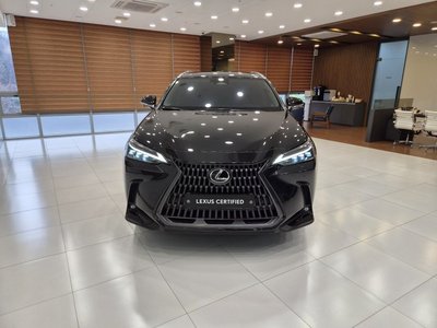 LEXUS NX - 2