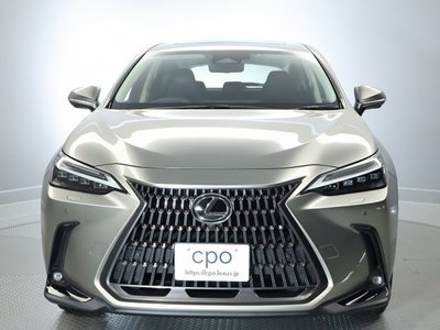 صورة 9 لـ 2023 Lexus NX