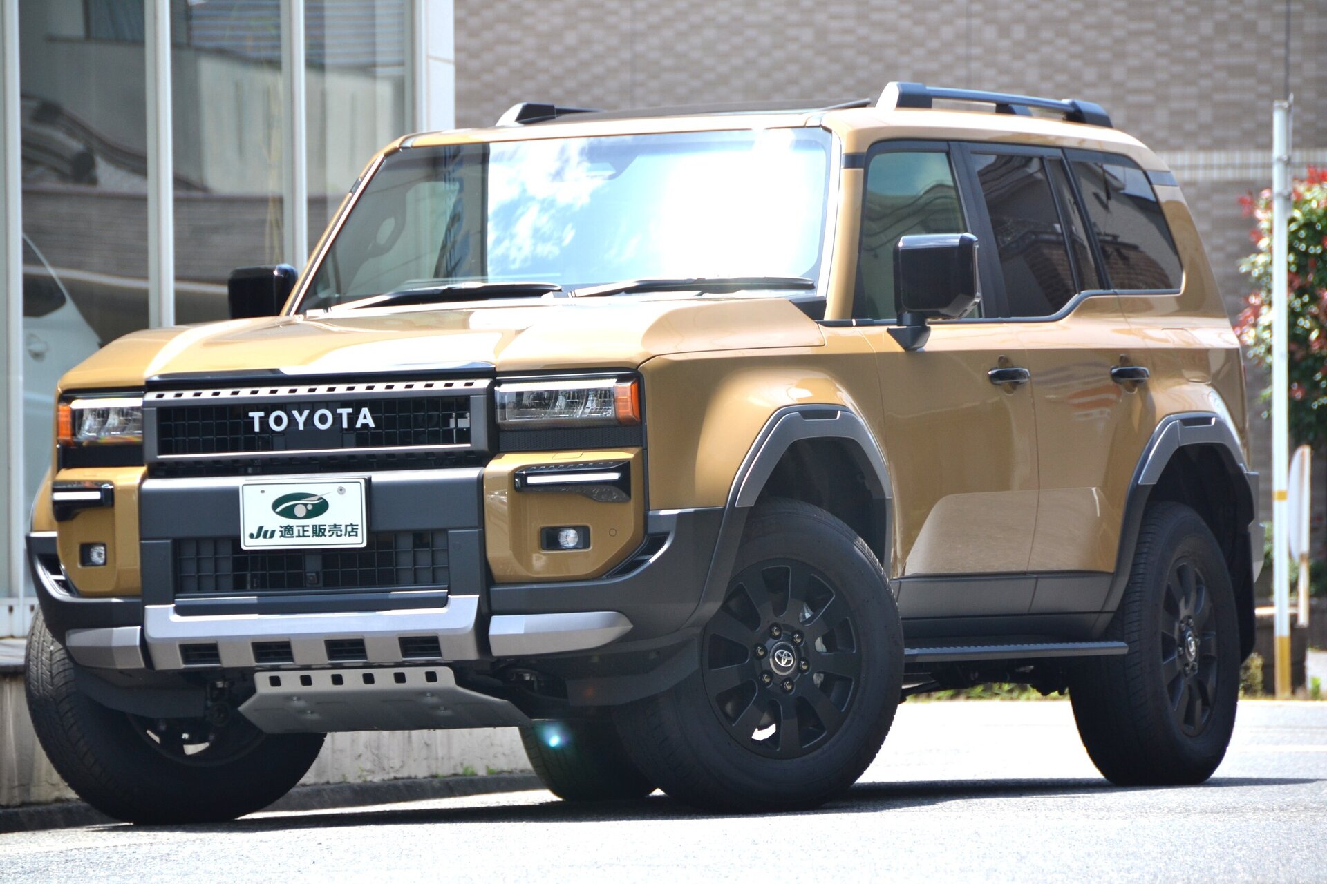 TOYOTA LAND CRUISER 250 - View 1