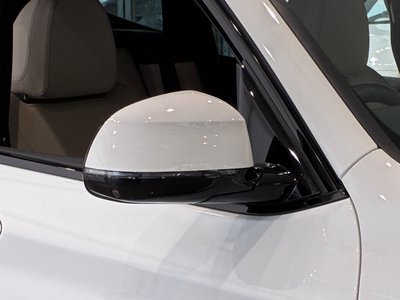 2024 BMW X3 缩略图 41