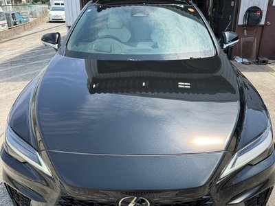 صورة مصغرة 12 لـ 2025 Lexus RX