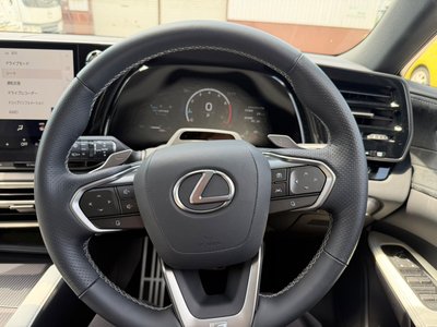 صورة مصغرة 33 لـ 2025 Lexus RX