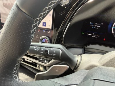 صورة مصغرة 34 لـ 2025 Lexus RX