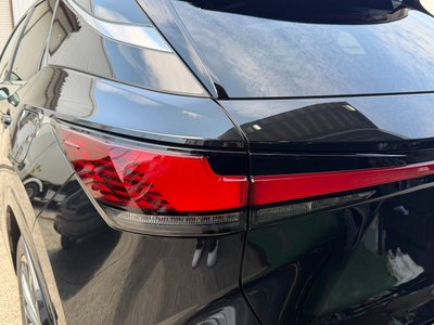 صورة مصغرة 20 لـ 2025 Lexus RX