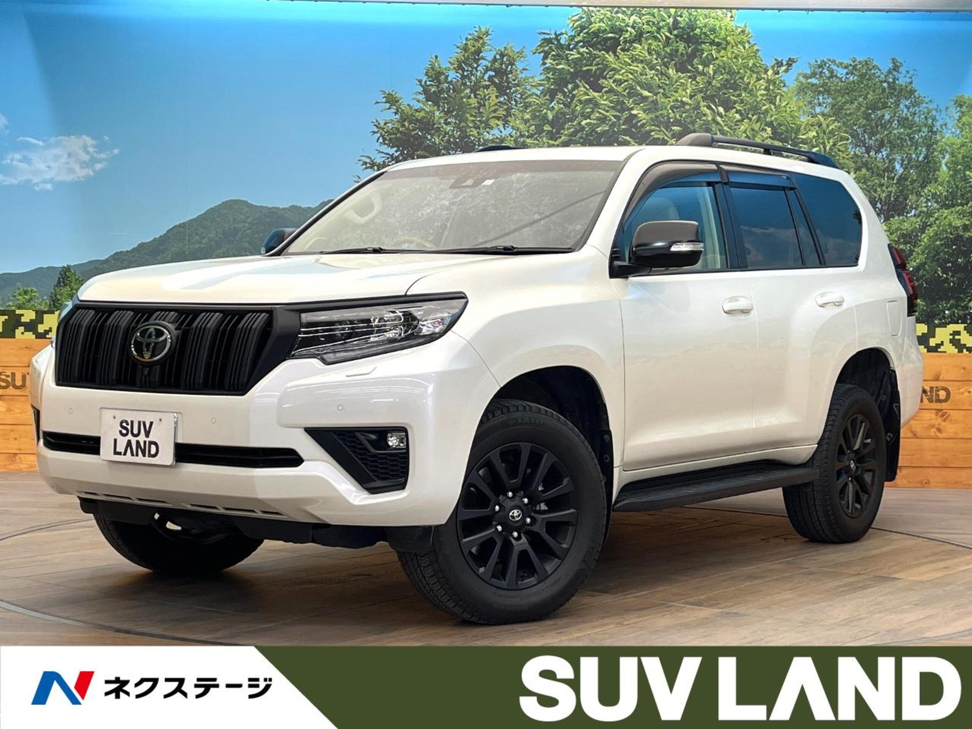 TOYOTA LAND CRUISER PRADO - View 1