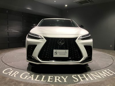 LEXUS NX - 8