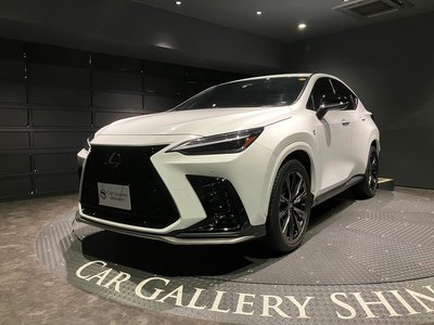 LEXUS NX - 1