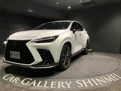 LEXUS NX - 9