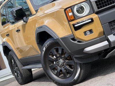 TOYOTA LAND CRUISER 250 - 9